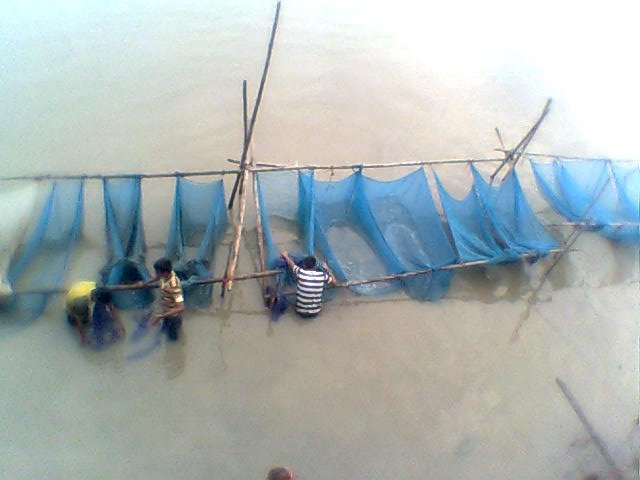 Fish, preserved in nets along Brahmaputra. Photo: Himanshu Thakkar, SANDRP