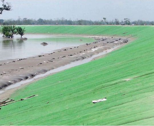 Matmora Geo-tube embankment after its construction in 2010. Source– Assam 2011, A Development Perspective, published by Planning and Development Dept., Govt. of Assam.