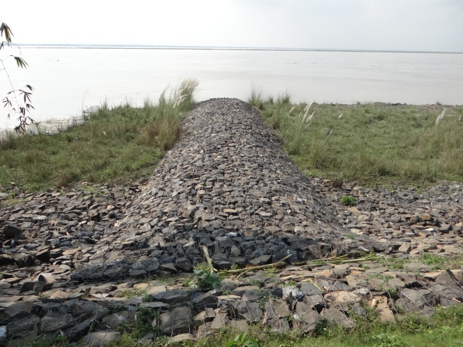Anti erosion works upstream of Farakka Barrage Photo: Author