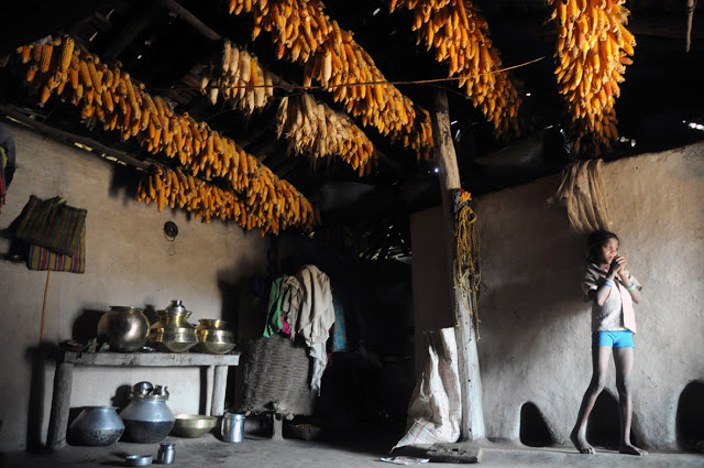 A Baiga home with harvested corn Photo: Aparna Pallavi, Down to Earth