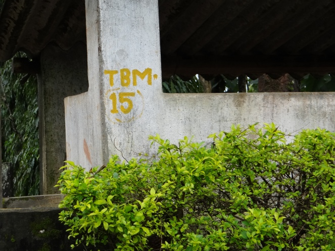 Survey markings in Sakaleshpur. People had no idea why the survey was carried out and no information was given. Photo: Parineeta Dandekar