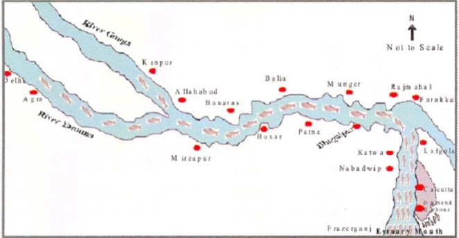 Migration route of Hilsa, Pre Farakka Barrage spanning about 1400 kms Source: CIFRI 2012