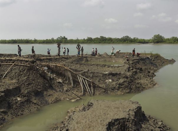 The mud men of the Sunderbans, trying to repair their river banks. Photo Peter Caton