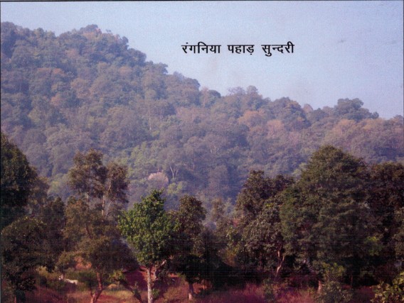 Sundari Forests to be affected due to Kanhar Dam in Uttar Pradesh