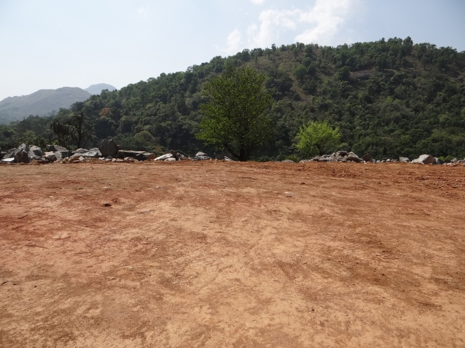 Clearing Forests for a 3 MW Beedalli HEP adjoining Pushpagiri Sanctuary in Karnataka Photo: Parineeta Dandekar