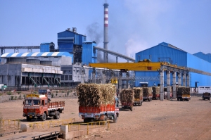 Gangakhed sugar factory in severely drought affected Parbhani. Not only takes water, but also pollutes water. Source: www.gangakhedicpp.com