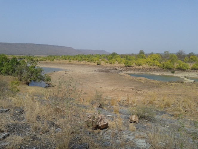 Almost dry river Ken within the Panna NP (Photo by Manoj Misra)