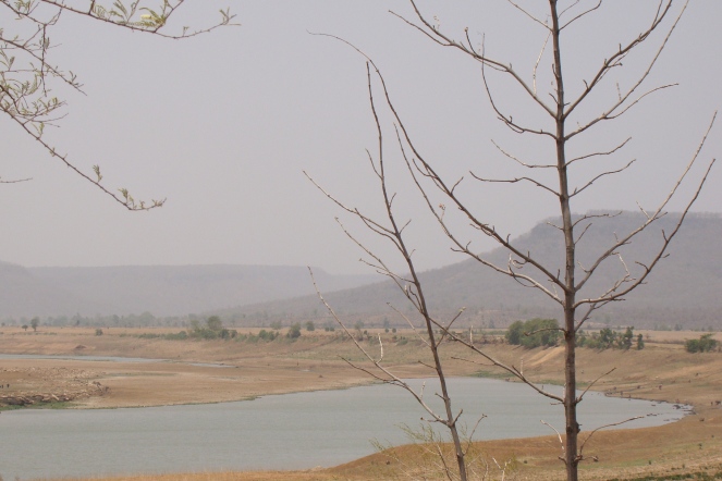 Dry river Ken at the proposed dam site at Daudhan village inside the Panna NP (Photo by Manoj Misra)