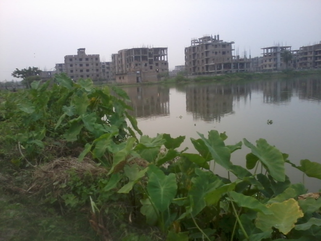 Illegal construction at Jagatipota mouza on East Kolkata Wetlands (Photo by Pravash Mallick)