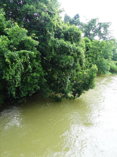 Figure 3: Mahadayi River Goa (Photo: Parineeta Dandekar)